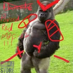 Daban DB Powered Red & 150 Gerbera Straight Upgrade Kit For 1/100 MG MBF-P02 MBFP02 Gundam Astray Red Frame -Action Figures Store e20f105c6e